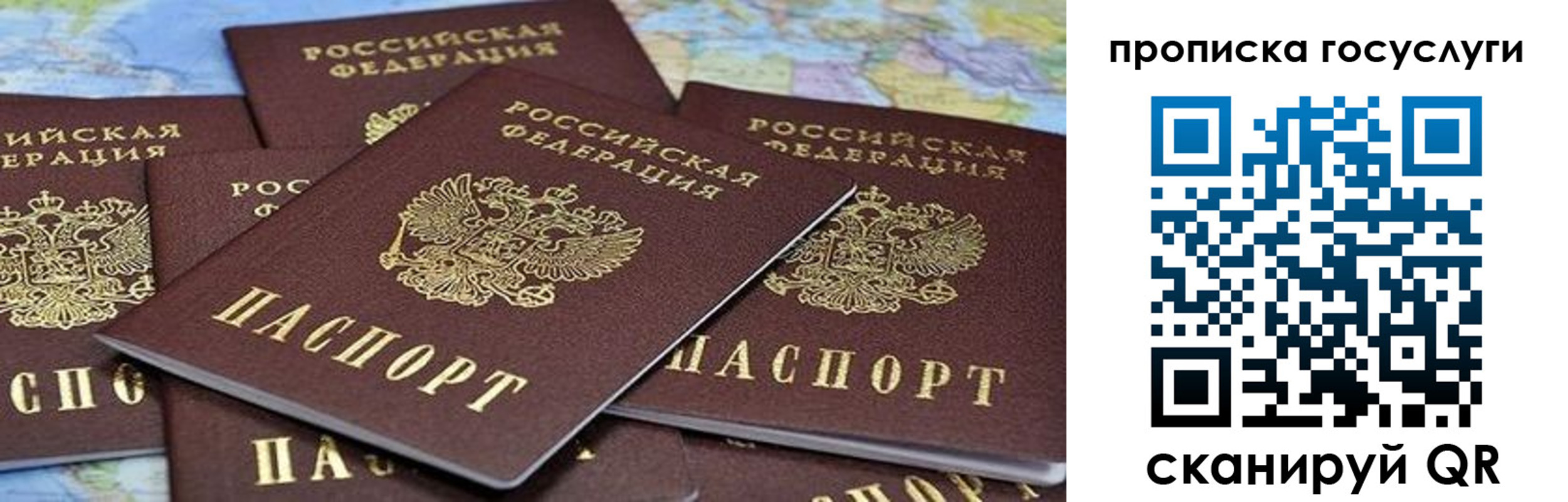 пропишу в квартире в Светлом
