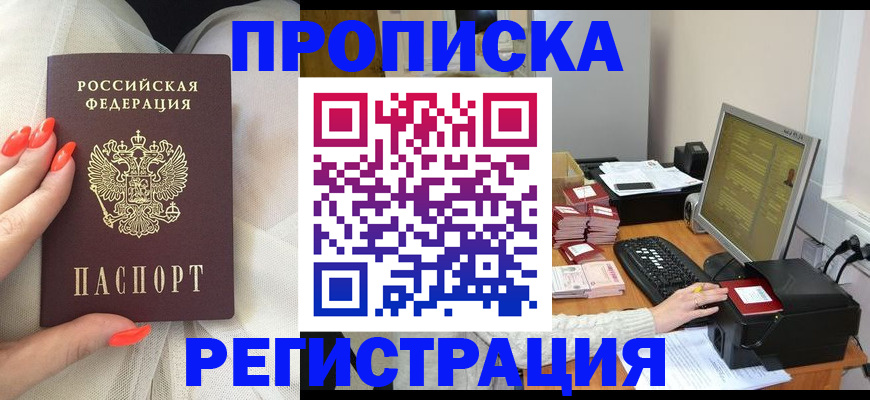 временная регистрация поиск в Светлом